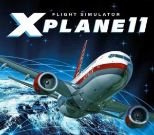 X-Plane 11 EU Steam Altergift