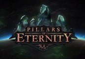 Pillars of Eternity Hero Edition EU Steam CD Key