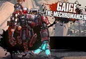 Borderlands 2 Mechromancer Pack DLC EU Steam CD Key