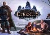 Pillars of Eternity: The White March Expansion Pass RU VPN Activated Steam CD Key