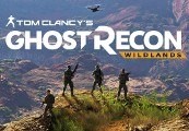 Tom Clancy's Ghost Recon Wildlands EU Ubisoft Connect CD Key