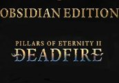 Pillars of Eternity II: Deadfire Obsidian Edition EU Steam Altergift