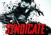 Syndicate EU Origin CD Key