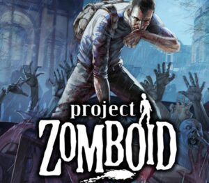 Project Zomboid EU Steam Gift