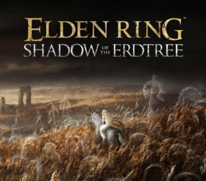 ELDEN RING - Shadow of the Erdtree DLC EU PC Steam CD Key