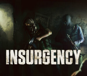 Insurgency ASIA Steam CD Key