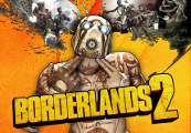 Borderlands 2 RU VPN Required Steam CD Key