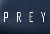 Prey CN Steam CD Key