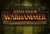 Total War: Warhammer - Realm of The Wood Elves DLC RU VPN Required Steam CD Key