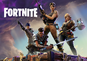 Fortnite Standard Founder's Pack EU Epic Games CD Key