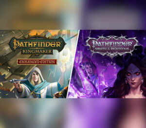 Pathfinder Collector’s Edition EU Steam CD Key