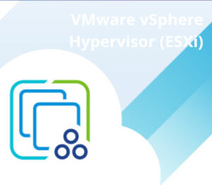 VMware vSphere Hypervisor (ESXi) 8 RoW CD Key