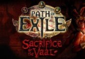 Path of Exile - Arctic Crown + Cobra Pet CD Key