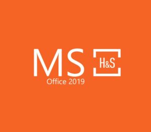 MS Office 2019 Home and Student OEM Key - API