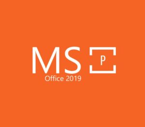 MS Office 2019 Professional OEM Key