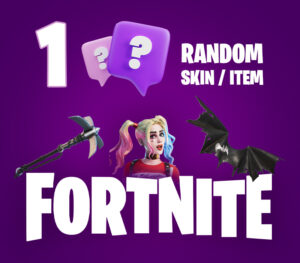 1 Random Fortnite Skin / Item Epic Games CD Key