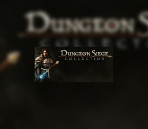 Dungeon Siege Collection Steam CD Key