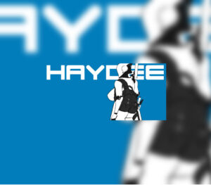 Haydee Steam Altergift