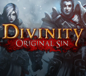 Divinity: Original Sin Digital Collector's Edition Single Pack Steam Gift