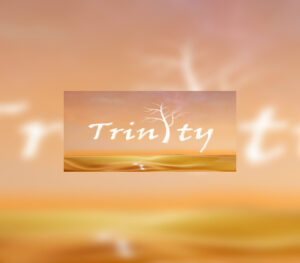 Trinity Steam CD Key