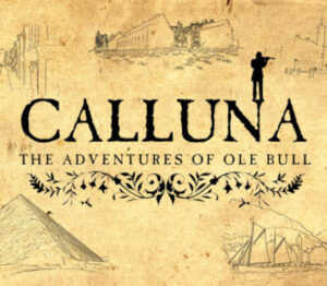 Calluna Steam CD Key