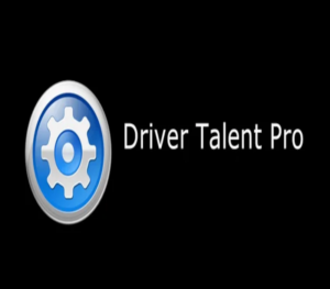 Driver Talent Pro Key (Lifetime / 1PC)