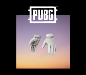 PUBG - Naval Gloves DLC Steam CD Key