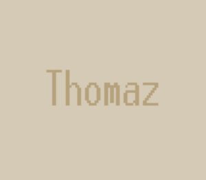 Thomaz Steam CD Key