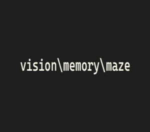 visionmemorymaze Steam CD Key