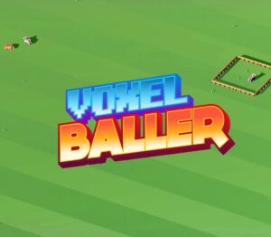 Voxel Baller Steam CD Key GLOBAL