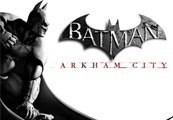 Batman: Arkham City Steam CD Key