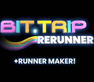 BIT.TRIP RERUNNER Steam CD Key