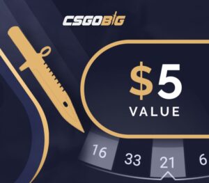 CSGOBIG $5 Gift Card