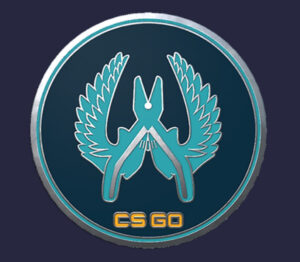 CS:GO - Series 1 - Guardian Collectible Pin