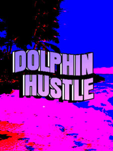 DOLPHIN HUSTLE Steam CD Key