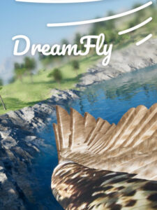 DreamFly VR Steam CD Key