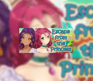 Escape from the Princess Steam CD Key