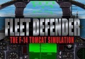 Fleet Defender: The F-14 Tomcat Simulation Steam CD Key GLOBAL