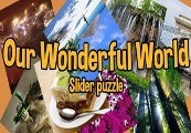 Our Wonderful World Steam CD Key