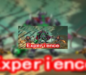 Experience Steam CD Key