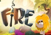 Fire Steam CD Key