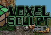 Axis Game Factory's AGFPRO - Voxel Sculpt DLC Steam CD Key