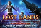 Lost Lands: Dark Overlord Steam CD Key