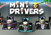 MiniDrivers Steam CD Key