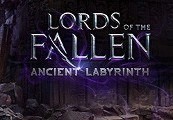 Lords of the Fallen Day One Edition + Ancient Labyrinth DLC Steam CD Key