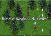 Battles of Norghan - Gold Version DLC Steam CD Key