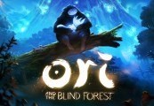 Ori and the Blind Forest Steam CD Key