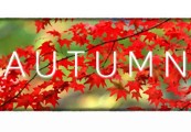 Autumn Steam CD Key