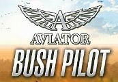 Aviator - Bush Pilot Steam CD Key