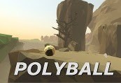 Polyball Steam CD Key